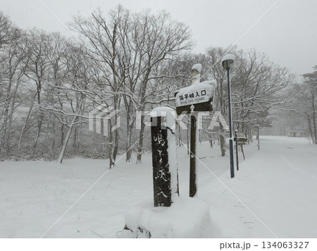 雪降る鳴子峡 134063327