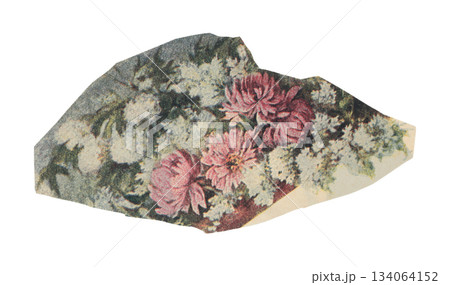 Cut fragment of a vintage floral artwork with classic textured style, isolated on transparent background for design and creative projects Cut fragment of a vintage floral artwork with classic textured style, isolated on transparent background for design and creative projects 134064152