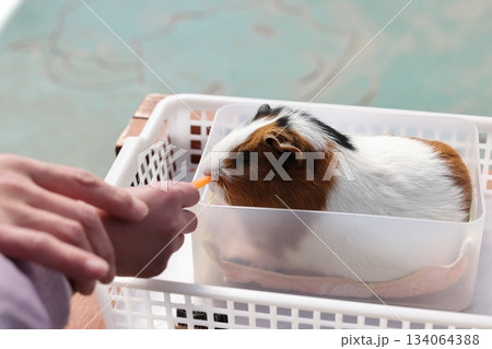 のんほいパーク のんほいパーク 134064388