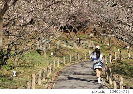 赤塚山公園　ぎょぎょランド 134064735
