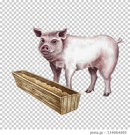 A pig eating from a trough, seen in profile. Hand-drawn watercolor illustration. Perfect for livestock farms or agricultural projects. Also suitable for labels, packaging, banners, and more. A pig eating from a trough, seen in profile. Hand-drawn watercolor illustration. Perfect for livestock farms or agricultural projects. Also suitable for labels, packaging, banners, and more. 134064895