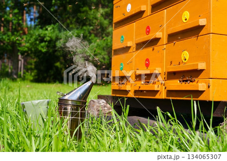 Beekeeping Scene Smoker in Tall Grass by Beehives with Bees Flying Around in Summer Day Beekeeping Scene Smoker in Tall Grass by Beehives with Bees Flying Around in Summer Day 134065307