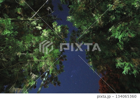 日光杉並木とオリオン座 134065360