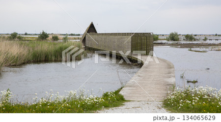 Duikeend bird hide at Marker Wadden invites visitors to observe wildlife in a natural setting in the Netherlands 134065629