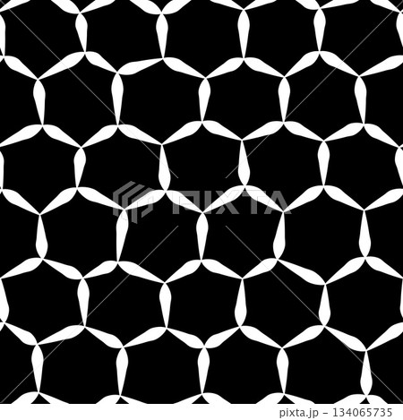 Hexagon Ornament 134065735