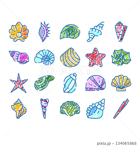 Colorful children drawing seashells and starfish collection 134065868