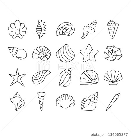 Seashells and starfishes marine life line art icons Seashells and starfishes marine life line art icons 134065877