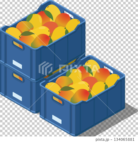 Crates full of mangoes Crates full of mangoes 134065881