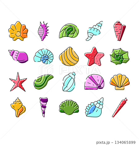Ocean seashells and starfishes marine life collection Ocean seashells and starfishes marine life collection 134065899