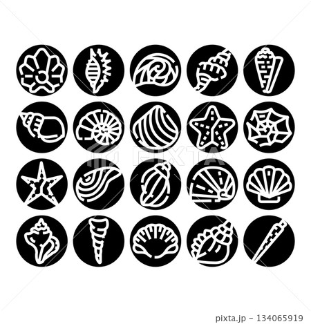 Seashells and marine life vector icons set Seashells and marine life vector icons set 134065919