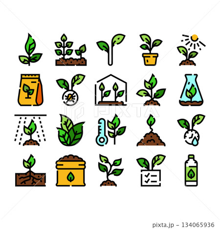Plant growth seedling agriculture gardening icon set Plant growth seedling agriculture gardening icon set 134065936