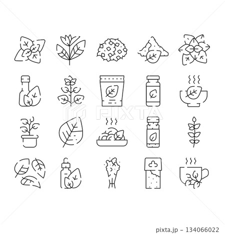 Stevia natural sweetener plant extract products icons 134066022