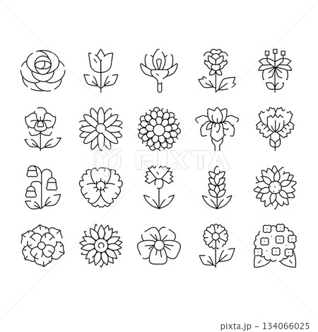 Minimalist outline flowers set representing nature and gardening 134066025