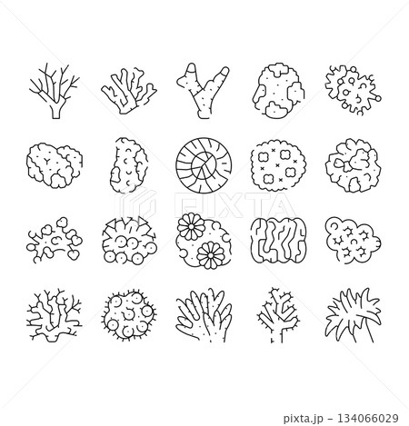 Hand drawn coral reef marine life icons 134066029