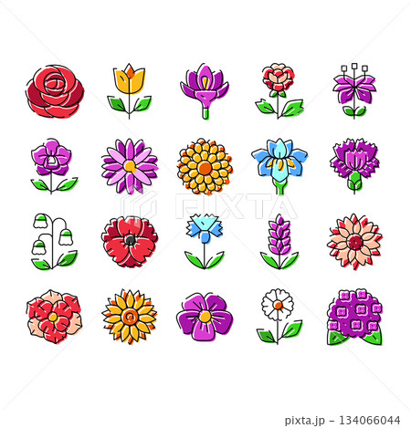 Different colorful flower icons set on white Different colorful flower icons set on white 134066044