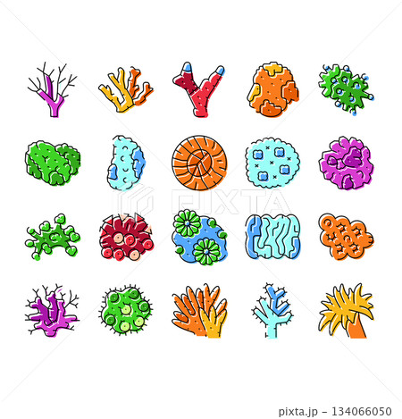 Coral reef underwater organisms line art collection Coral reef underwater organisms line art collection 134066050