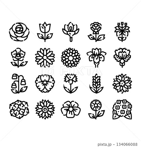 Floral line art collection showing various flower icons 134066088