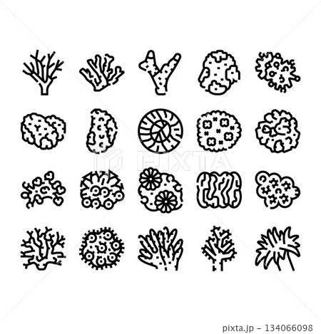 Underwater coral reef marine organism line icons set 134066098