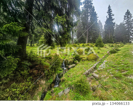 Mountain Grandeur Endless Wild Horizons 134066133