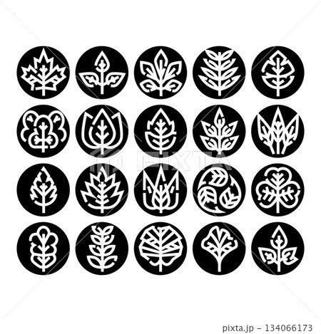 Collection of various nature leaf icons in monochrome style Collection of various nature leaf icons in monochrome style 134066173