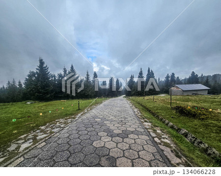Mountain Horizons Road Through Majestic Peaks 134066228