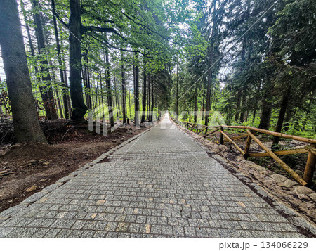 Mountain Horizons Road Through Majestic Peaks Mountain Horizons Road Through Majestic Peaks 134066229
