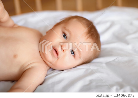Closeup portrait of cute little baby boy or girl laying in wooden crib, free space. Beautiful toddler looking at camera, lying in baby bed. Babies, little kids, toddlers, infants concept 134066875