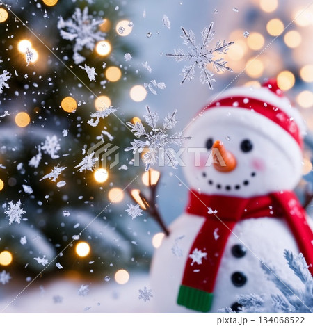 クリスマスツリーと雪だるま　イルミネーション 134068522