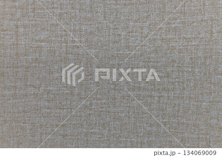Neutral Woven Textile Material Pattern Detail 134069009