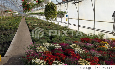 Optimized conditions promoting seed germination and seedling development 134069337