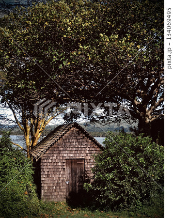 Kenya Photographers By Antony Trivet Photography 134069495