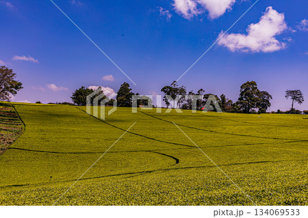Kenya Photographers By Antony Trivet Photography Kenya Photographers By Antony Trivet Photography 134069533
