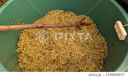 visual of grape fermentation process, detailed scene of fresh grape mash preparing for wine visual of grape fermentation process, detailed scene of fresh grape mash preparing for wine 134069657