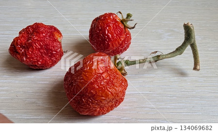 minimalist tomato arrangement, contemporary still life featuring vertical dried tomatoes and shadow minimalist tomato arrangement, contemporary still life featuring vertical dried tomatoes and shadow 134069682