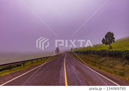 Kenya Photographers By Antony Trivet Photography 134069780