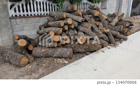 Wood Logs have been Piled High for Storage or Preparation of Firewood Usage and Processing Wood Logs have been Piled High for Storage or Preparation of Firewood Usage and Processing 134070008