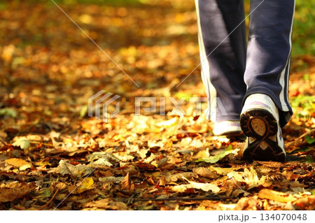 Woman walking cross country trail in autumn forest 134070048