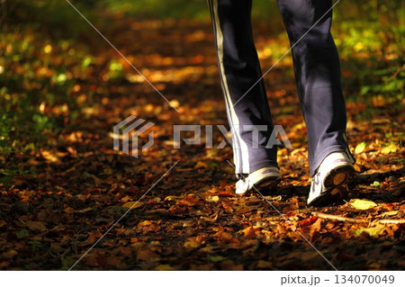Woman walking cross country trail in autumn forest Woman walking cross country trail in autumn forest 134070049
