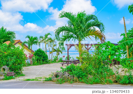 青空と海が輝く石垣島のリゾートガーデンの風景 134070433