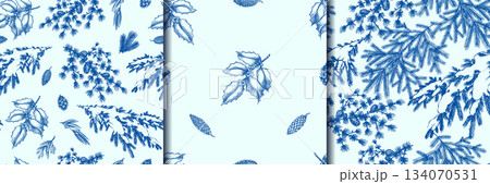 Blue Christmas and winter natural wooden patterns. Pine tree cone, fir branches and holly bush plant Blue Christmas and winter natural wooden patterns. Pine tree cone, fir branches and holly bush plant 134070531