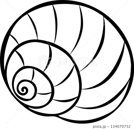 Doodle style illustration of a spiral seashell, simple black and white sketch icon of underwater marine life. Hand-drawn element for oceanography and sea themes Doodle style illustration of a spiral seashell, simple black and white sketch icon of underwater marine life. Hand-drawn element for oceanography and sea themes 134070732