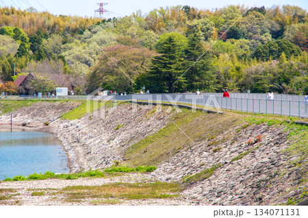 新緑が美しい伊坂ダムサイクルパーク 《三重県 四日市市》 134071131