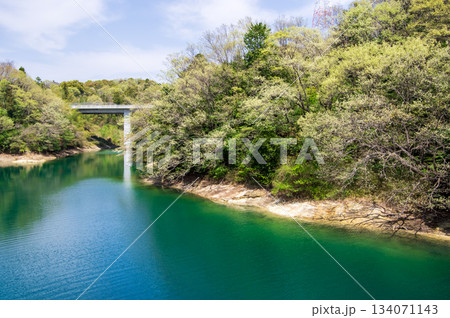 新緑が美しい伊坂ダムサイクルパーク 《三重県 四日市市》 新緑が美しい伊坂ダムサイクルパーク 《三重県 四日市市》 134071143