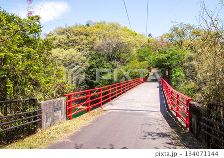 新緑が美しい伊坂ダムサイクルパーク 《三重県 四日市市》 134071144