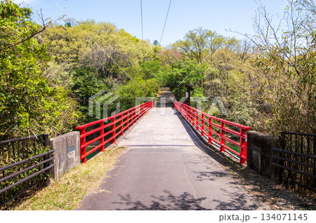 新緑が美しい伊坂ダムサイクルパーク 《三重県 四日市市》 134071145