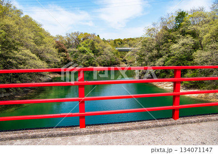 新緑が美しい伊坂ダムサイクルパーク 《三重県 四日市市》 新緑が美しい伊坂ダムサイクルパーク 《三重県 四日市市》 134071147