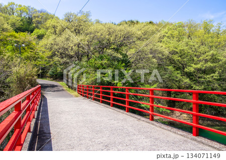 新緑が美しい伊坂ダムサイクルパーク 《三重県 四日市市》 新緑が美しい伊坂ダムサイクルパーク 《三重県 四日市市》 134071149