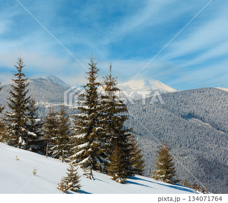 Winter snowy Carpathian mountains, Ukraine 134071764