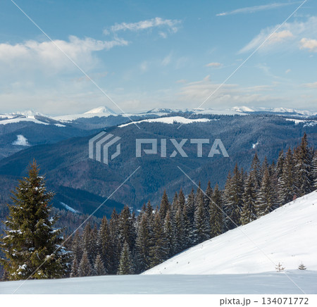 Winter snowy Carpathian mountains, Ukraine 134071772