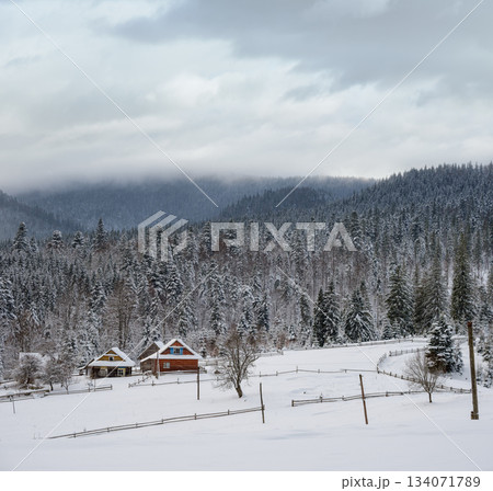 Countryside hills, groves and farmlands in winter remote alpine mountain village Countryside hills, groves and farmlands in winter remote alpine mountain village 134071789